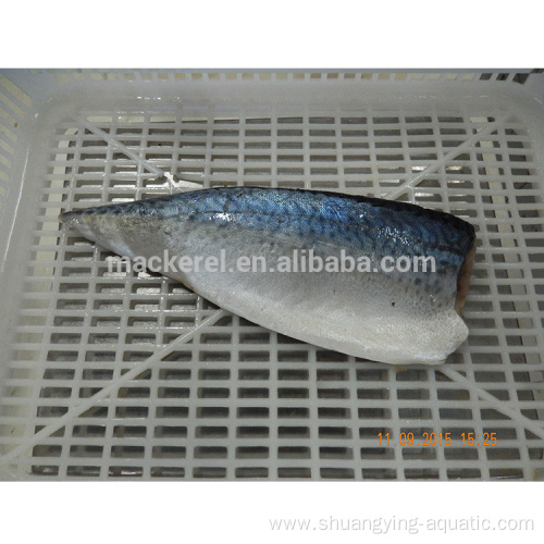 New Arrival Frozen Fish Mackerel Fillets For Wholesale